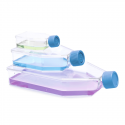 ISOLAB Şişe - Hücre Kültürü - Geçirgen Kapaklı - 75 cm2 - 25 ml - 100 Adet/Paket