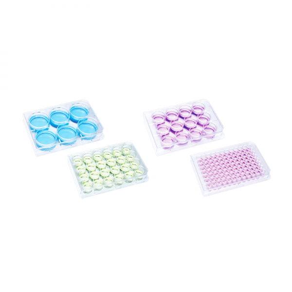 ISOLAB Düz Kuyulu Plak - Hücre Kültürü için - 6 Kuyulu - 3 mL 100 Adet/Paket